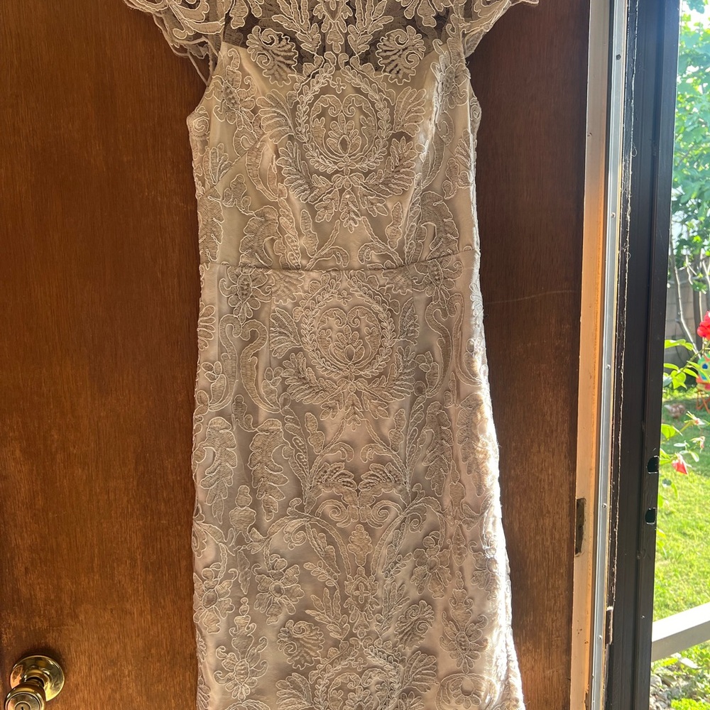 Elegant Lace Dress in Cream